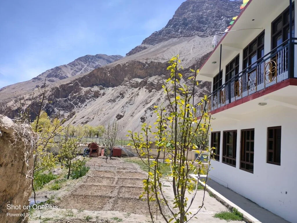 Nima Regency Homestay - previous
