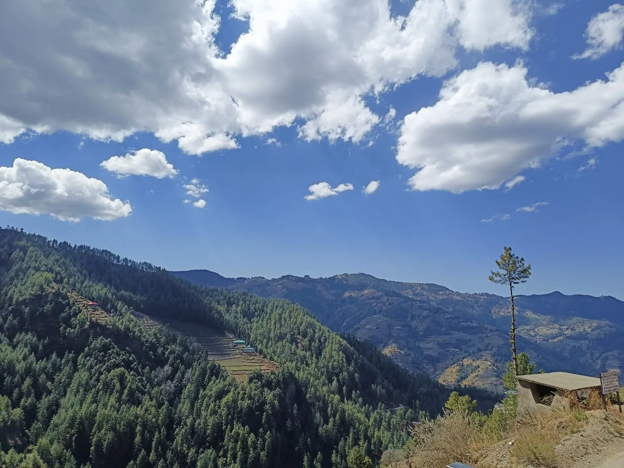 The Alpine Crest Homestay. - previous