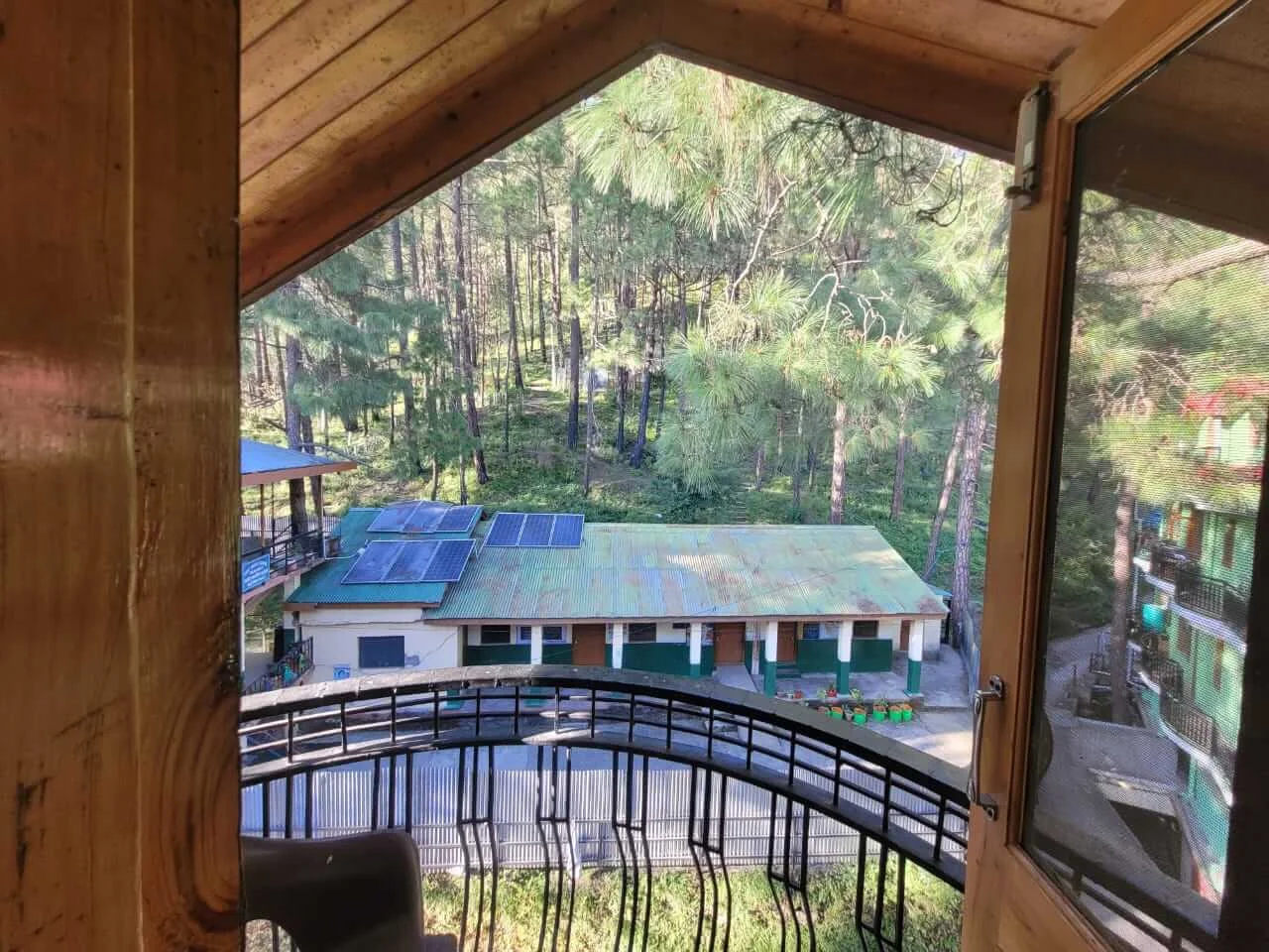 Pine Paradise - Jungle View Room